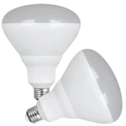 Feit Electric LED Light Bulb (2 Pack) (45968)