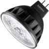 Philips LED Reflector Flood Retrofit (573568)
