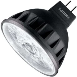 Philips LED Reflector Flood Retrofit (573584)