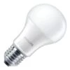 Philips LED Light Bulb (344341)