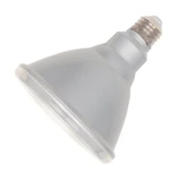 Westinghouse LED Light Bulb (50071)