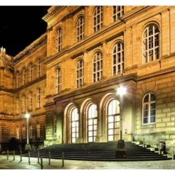 Westinghouse LED Light Bulb (51710) -Light Bulbs Shop 51600decormd