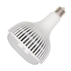 Westinghouse LED Light (51720)