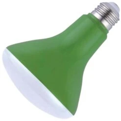 Westinghouse LED Light Bulb (51820)