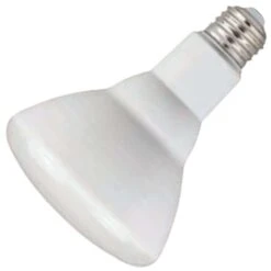 Westinghouse LED Reflector Flood Retrofit (52210)