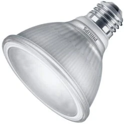 Philips LED Reflector Flood Retrofit (529818)