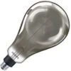 Philips LED Light Bulb (536300) 2 Philips LED Light Bulb (536300) -Light Bulbs Shop 536300lg