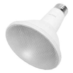 Philips LED Reflector Flood Retrofit (546969)