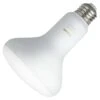 Philips LED Light Bulb (548511) -Light Bulbs Shop 548511lg