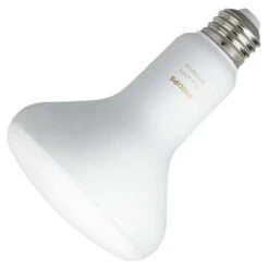 Philips LED Light Bulb (548511)