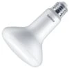 Philips LED Light Bulb (571471) 2 Philips LED Light Bulb (571471) -Light Bulbs Shop 571471lg