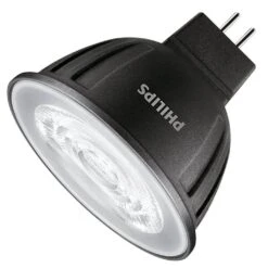 Philips LED Reflector Flood Retrofit (573907)