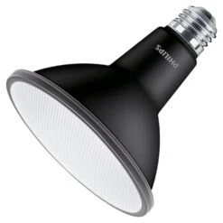 Philips LED Light Bulb (576470)