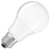 Osram LED Light Bulb (594180) 1 Osram LED Light Bulb (594180) -Light Bulbs Shop 594180lg