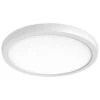 Nuvo Lighting LED Ceiling Light Fixture (61306) -Light Bulbs Shop 61306lg