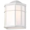 Nuvo LED Outdoor Wall Sconce (61373) -Light Bulbs Shop 61373lg