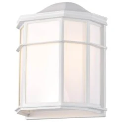 Nuvo LED Outdoor Wall Sconce (61373)