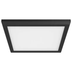 Nuvo Lighting LED Ceiling Light Fixture (62576) 6 Nuvo Lighting LED Ceiling Light Fixture (62576) -Light Bulbs Shop 62576md