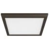 Nuvo Lighting LED Ceiling Light Fixture (62577) -Light Bulbs Shop 62577lg