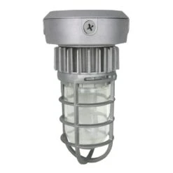 Nuvo LED Fixture (63079)