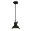 Westinghouse Boswell Pendant Light Fixture (73087)