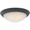Westinghouse LED Flush Mount Ceiling Light Fixture (63089) -Light Bulbs Shop 63089alg