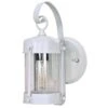 Nuvo Wall Lantern (63460) -Light Bulbs Shop 63460lg