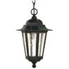 Nuvo Hanging Lantern (63476) 2 Nuvo Hanging Lantern (63476) -Light Bulbs Shop 63476lg