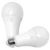 GE LED Light Bulb (2 Pack) (65762) -Light Bulbs Shop 65762lg