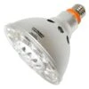 Litetronics LED Reflector Wide Flood Light Bulb (67520) 1 Litetronics LED Reflector Wide Flood Light Bulb (67520) -Light Bulbs Shop 67520lg