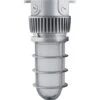 Nuvo LED Fixture (68057)