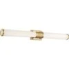 Nuvo LED Vanity Light Fixture (68140) 2 Nuvo LED Vanity Light Fixture (68140) -Light Bulbs Shop 68140lg