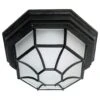 Nuvo Ceiling Light Fixture (68225)