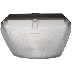 Nuvo LED Canopy Fixture (68243)