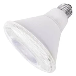 Litetronics LED Reflector Flood Retrofit (69590) -Light Bulbs Shop 69640md