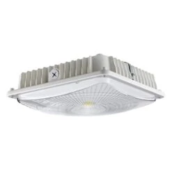 Morris LED Canopy Fixture (71607)