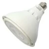 Sylvania LED Light Bulb (74796) -Light Bulbs Shop 74085lg