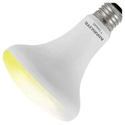 Sylvania LED Light Bulb (74987)
