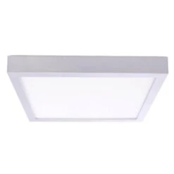 Bulbrite LED Ceiling Light (773161) -Light Bulbs Shop 773163md
