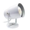 Nuvo Lighting Plant Lamp (77395) 2 Nuvo Lighting Plant Lamp (77395) -Light Bulbs Shop 77395alg