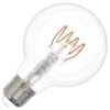 Bulbrite LED Antique Filament Light Bulb (776516) -Light Bulbs Shop 776516lg