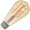 Bulbrite LED Antique Filament Light Bulb (776909) -Light Bulbs Shop 776809lg 2