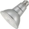 Sylvania LED Reflector Flood Retrofit (74603)