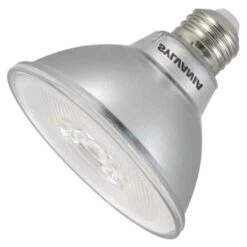Sylvania LED Reflector Flood Retrofit (41053)