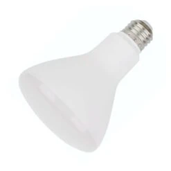 Halco LED Reflector Flood Retrofit (80195)