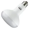 Sunlite LED Reflector Flood Retrofit (80510) -Light Bulbs Shop 80510lg