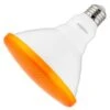 Sunlite LED Light Bulb (80555) -Light Bulbs Shop 80555Alg