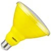 Sunlite LED Light Bulb (81476) 1 Sunlite LED Light Bulb (81476) -Light Bulbs Shop 81476lg