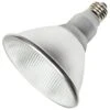 Halco LED Light Bulb (81954) -Light Bulbs Shop 81953lg