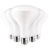 Halco LED Reflector Flood Retrofit (6 Pack) (82170) -Light Bulbs Shop 82170bclg